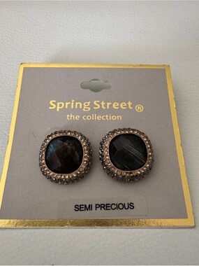 Spring Street Semi-Precious Stone Stud Earrings - Crystal Halo, Gray-Green NWT